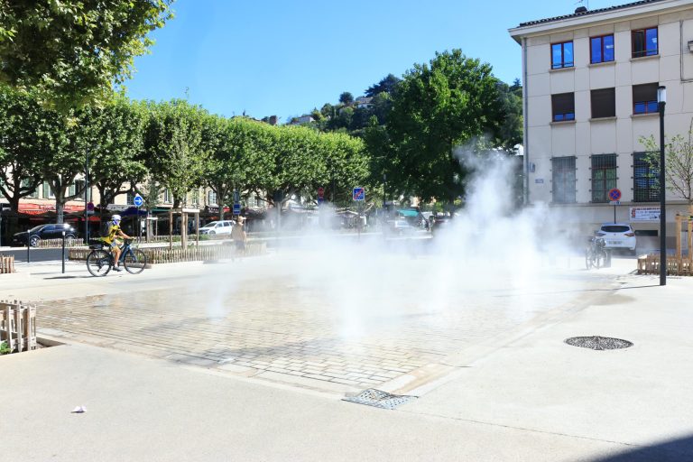 Cours Brillier - place Rambaud - fontaine
